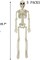 5 Pack Skeletons Halloween Decorations, 16" Plastic Full Body Posable Skeleton with Movable Joints, Small Hanging Skeleton for Halloween Outdoor Indoor Party Decor Haunted House Graveyard